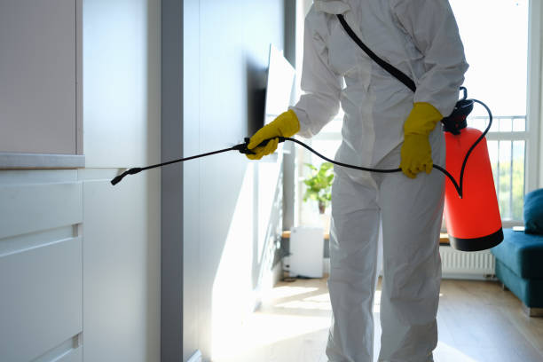 Best Emergency Mold Removal  in Floydada, TX