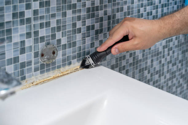 Best Mold Testing  in Floydada, TX